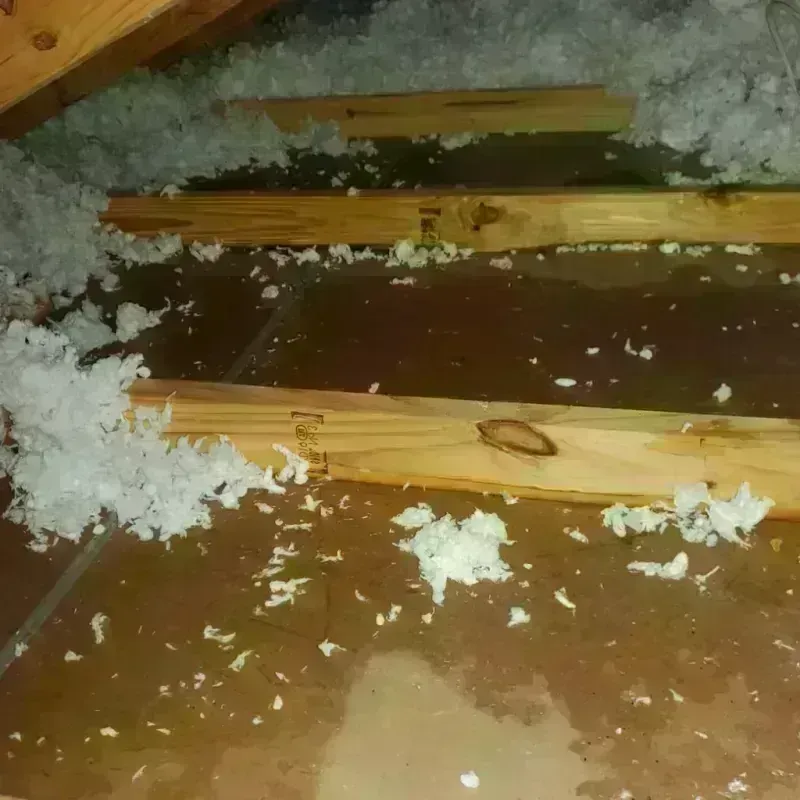 Attic Water Damage in Holt County, NE