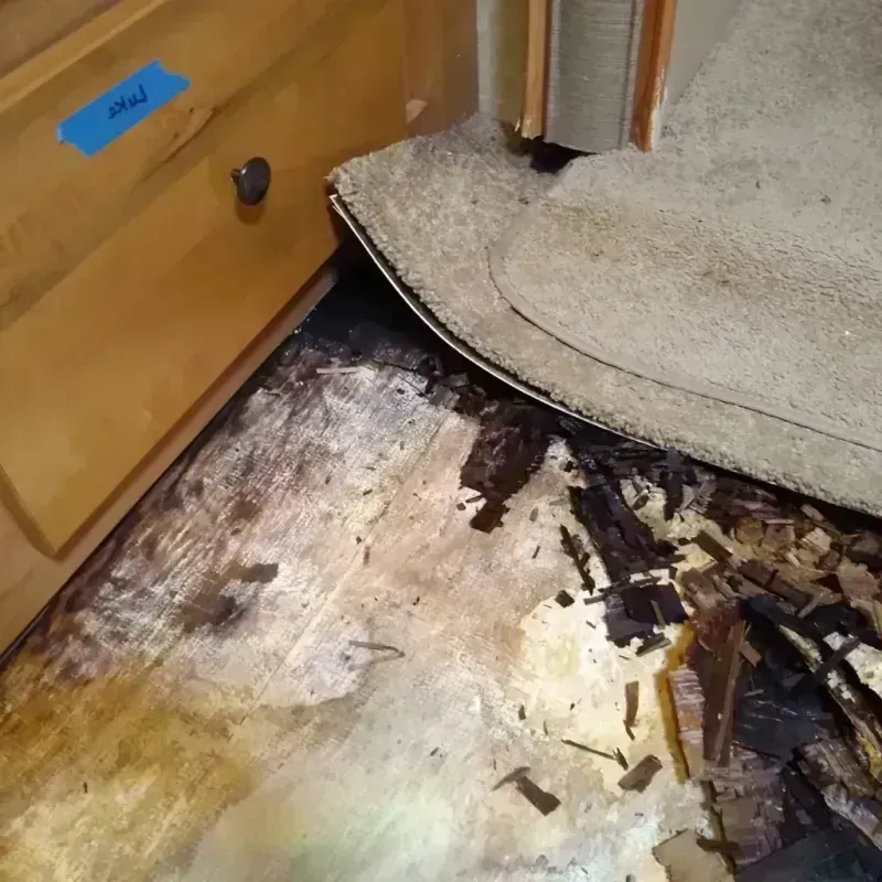 Wood Floor Water Damage in Holt County, NE